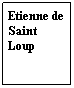 Zone de Texte: Etienne de Saint Loup
