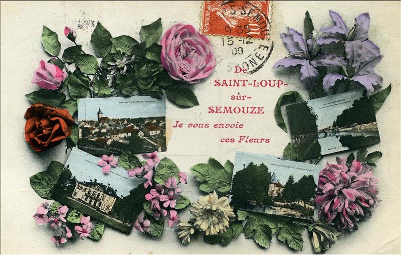 Fleurs de Saint Loup